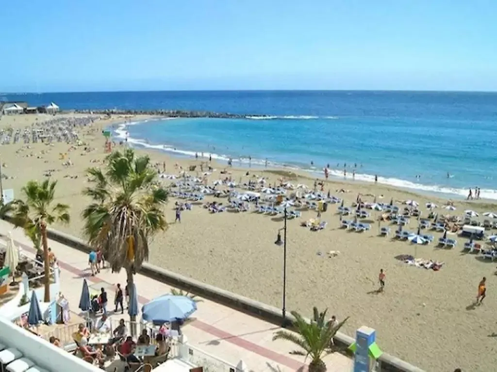 Jardin Canario Primera Linea De Playa Лос Кристианос